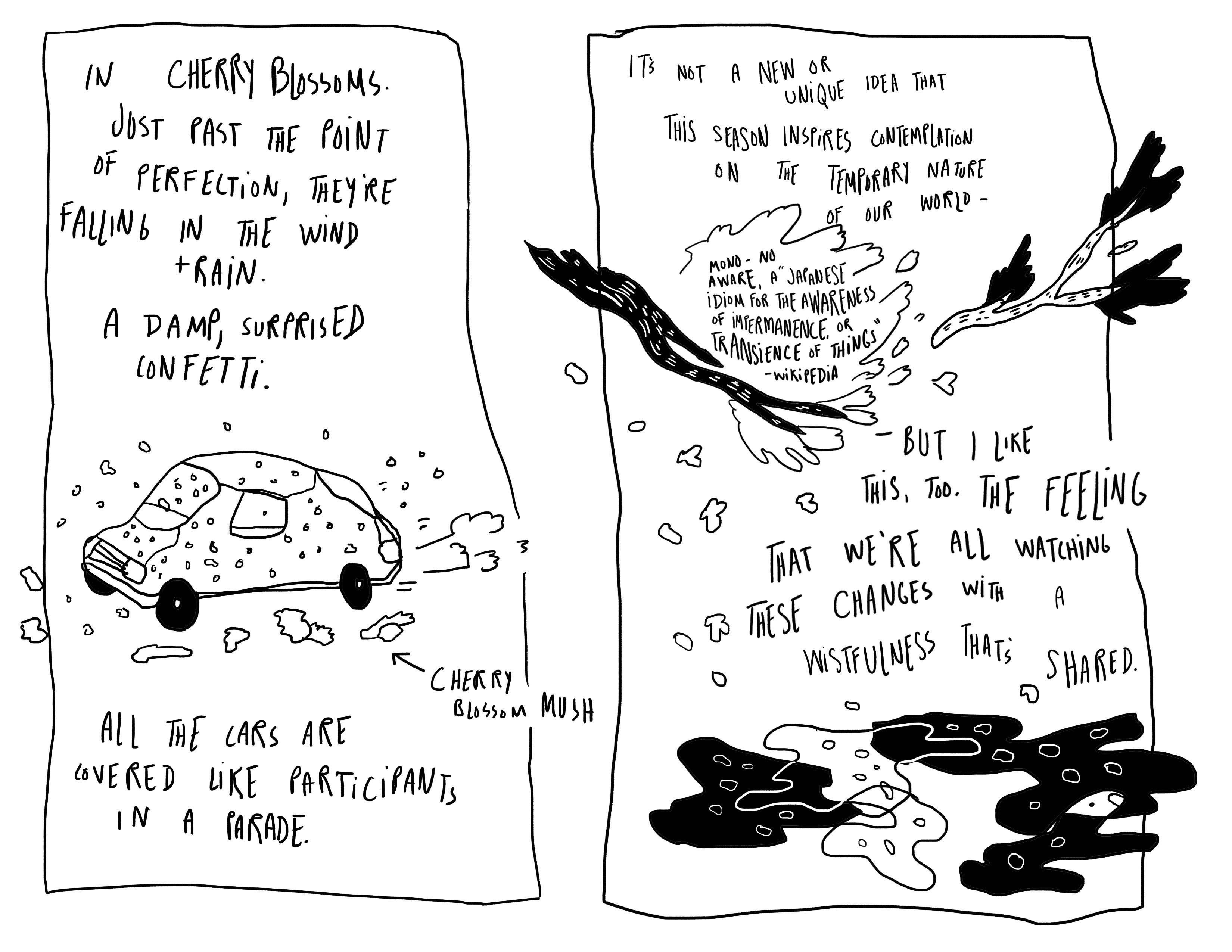 a comic featuring drawings of a car covered in cherry blossoms and a tree branch plus the following text: in cherry blossoms. Just past the point of perception, they're falling in the wind & rain. A damp, surprised confetti. All the cars are covered like participants in a parade. It's not a new or unique idea that this season inspires contemplation on the temporary nature of our world—mono-no aware, a Japanese idiom for the awareness of impermanence, or transience of things—but I like this, too. The feeling that we're all watching these changes with a wistfulness that's shared.
